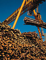 Forestry_investment The Trust Company appointed as trustee for ANZFF2