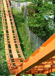 rollercoaster Rollercoaster