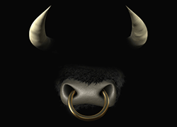 bull_fidelity-250