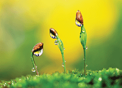 Growth expected in 2014: Russell.