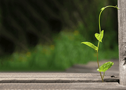Insurers have many opportunities to grow: AON Benfield