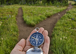 Taking an investment short cut will almost always end in tears: AUI