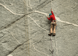 Going the extra mile is great for business.