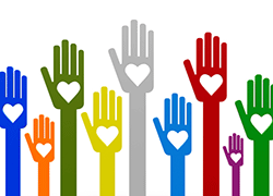 The not for profit foundation launch The Australian Charity Storybook and website.
