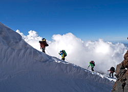 ETF market scaling new heights.