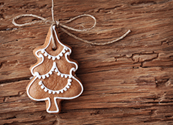 xmas-250