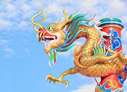 Look beyond Chine for opportunities: PM CAPITAL 