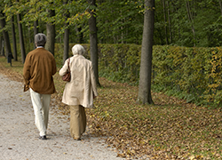 Understanding the role life expectancy plays is important in advice.