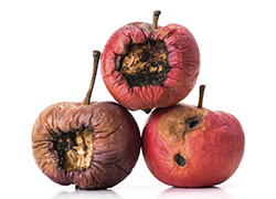 Tougher measures needed to counter so-called ‘Bad Apples’: SPAA