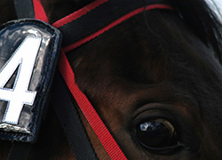Planning rather then gambling: TAL