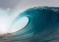 No, you haven't missed the social media wave...