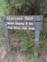 Entrance to Mt Bogong walk.