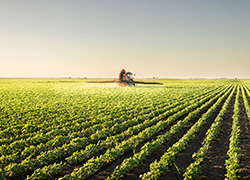 Investment in food production gaining favour with investors.