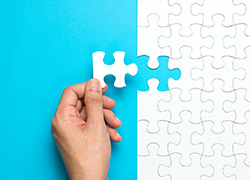 puzzle-250