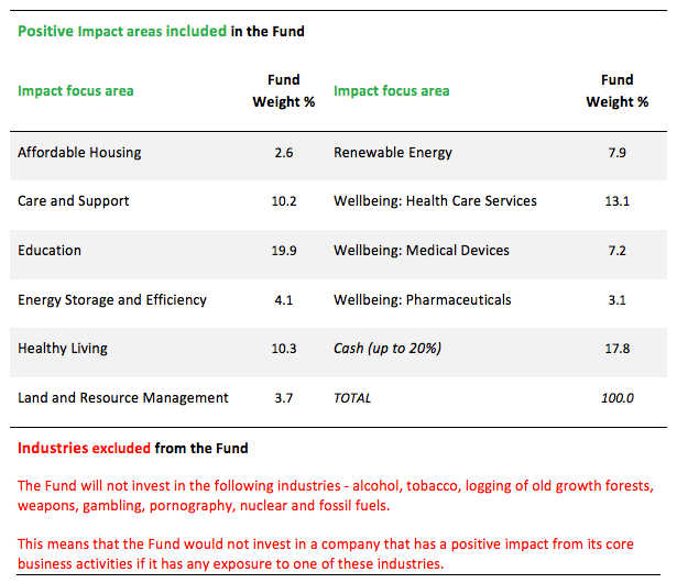 Positive Impact areas included in the Fund